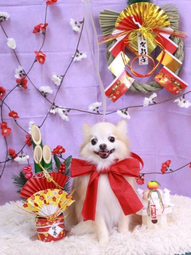 20230108小豆くん